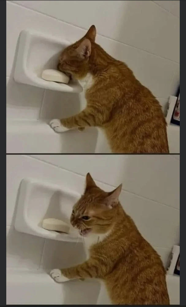 Image uploaded by Jeanette