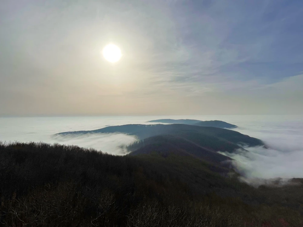 Tamás által feltöltött kép