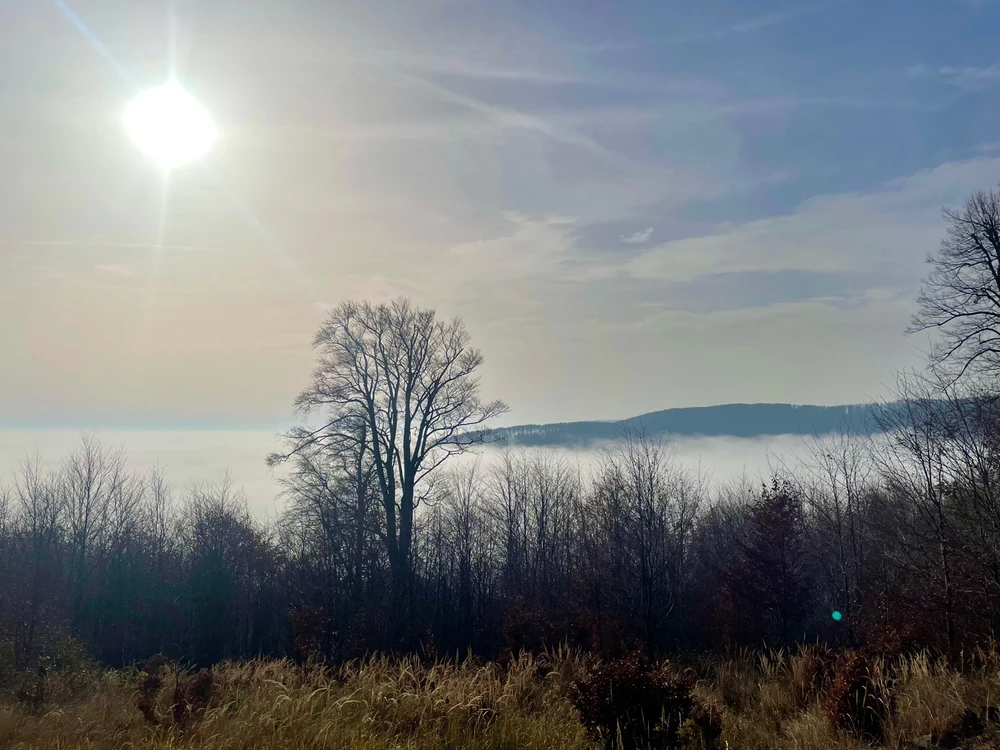 Tamás által feltöltött kép