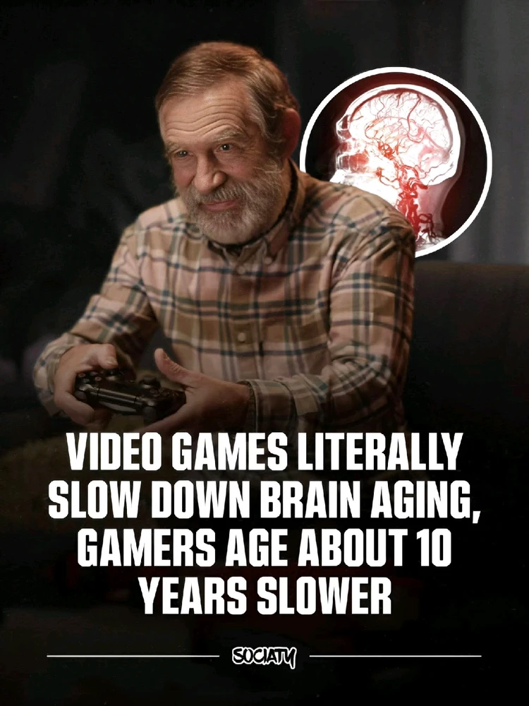 GIF uploaded by חן