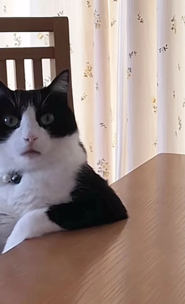 GIF uploaded by bellissima