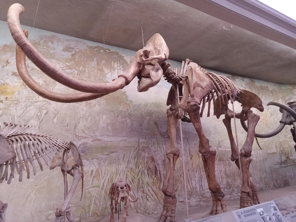 GIF uploaded by Cade