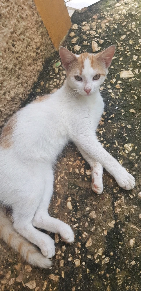 Image uploaded by Kerry AnnβΛπΰ§