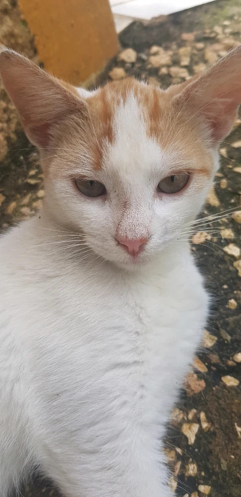 Image uploaded by Kerry AnnβΛπΰ§