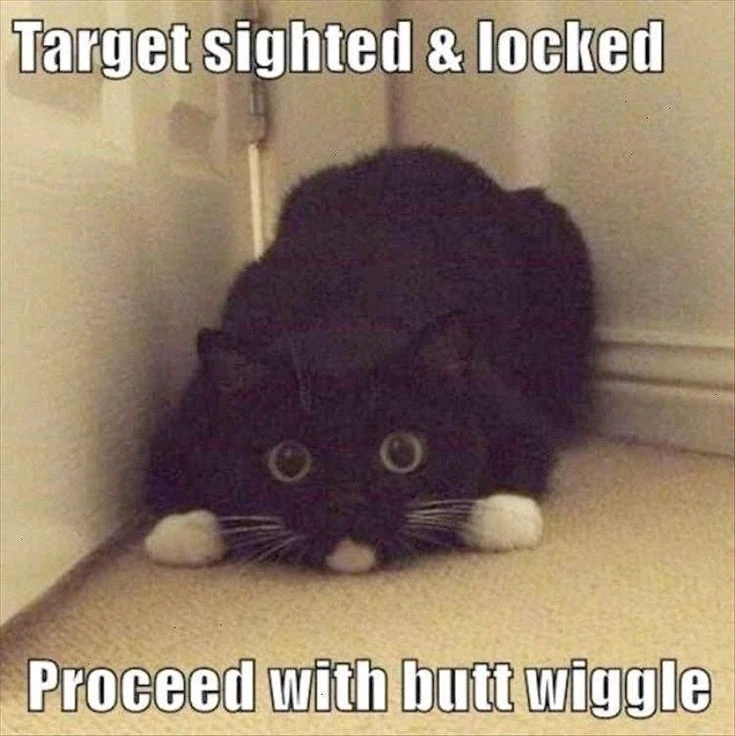 GIF uploaded by Donna