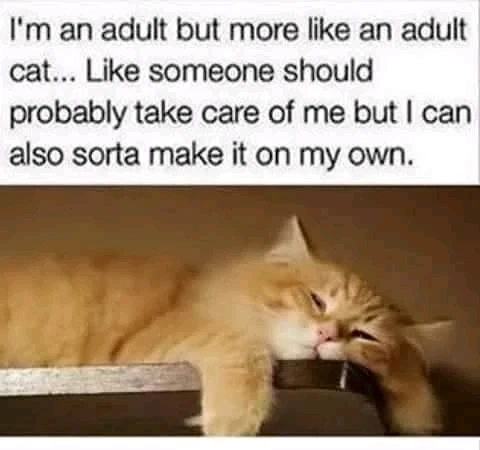 GIF uploaded by Crystal