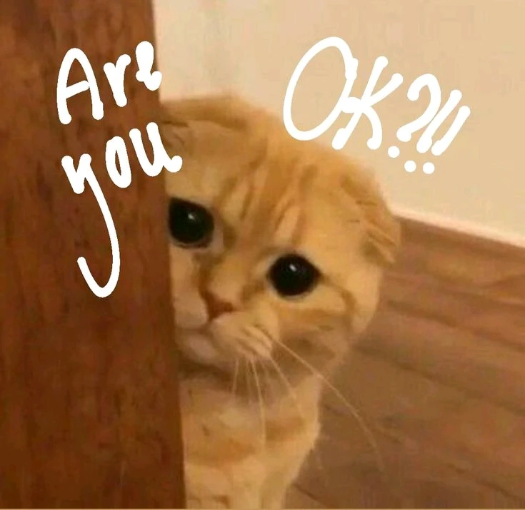 GIF uploaded by Mi Ka