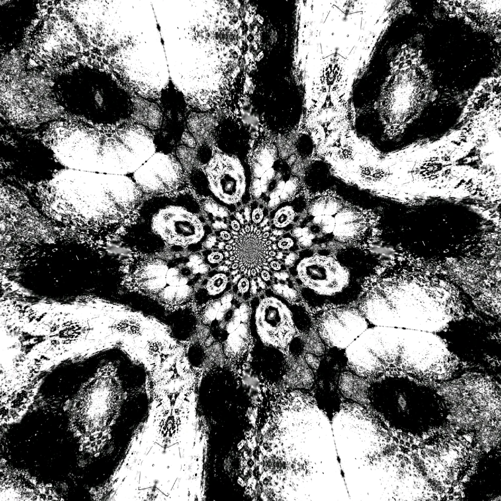 Patterns in black and white