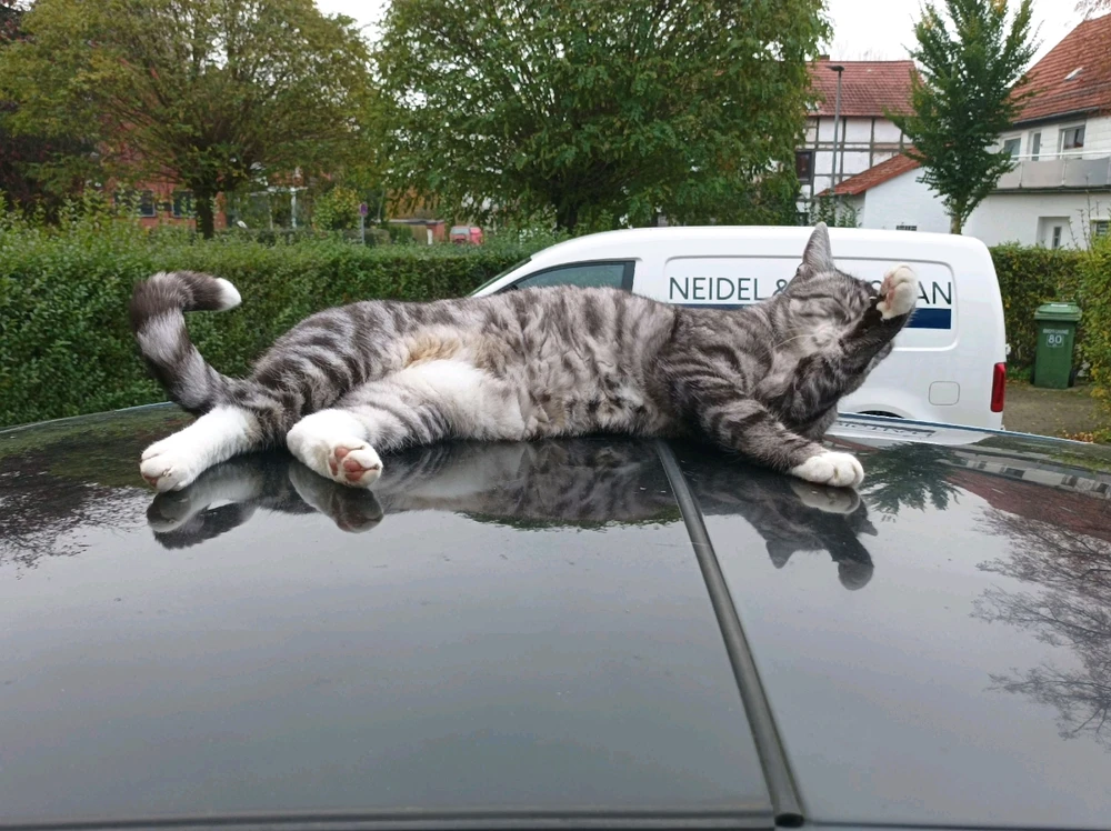 GIF hochgeladen von Basti aka Bierserker