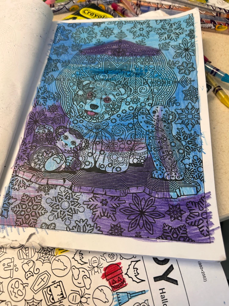 New art pieces designed to
Amaze 🤩