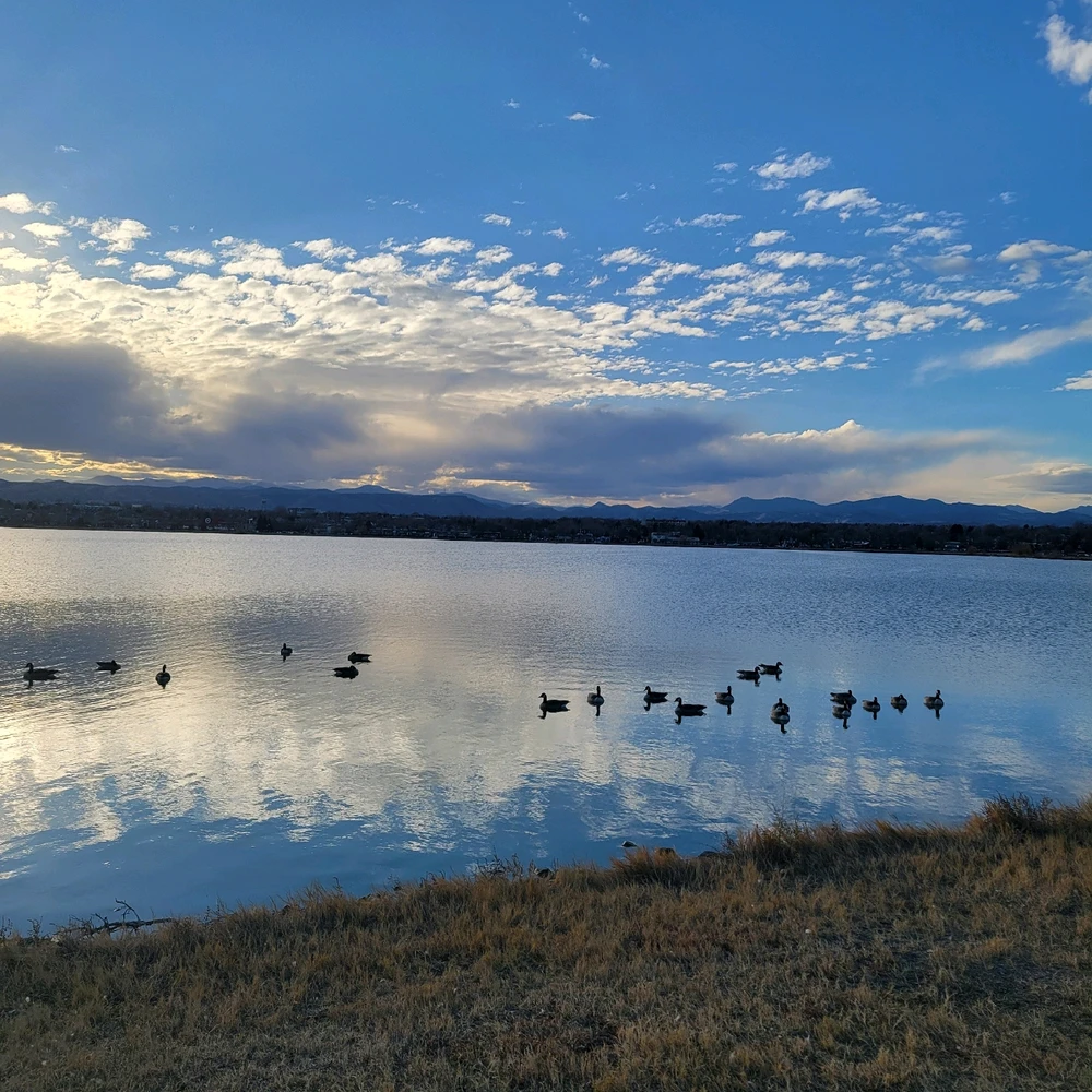 GIF uploaded by Chani