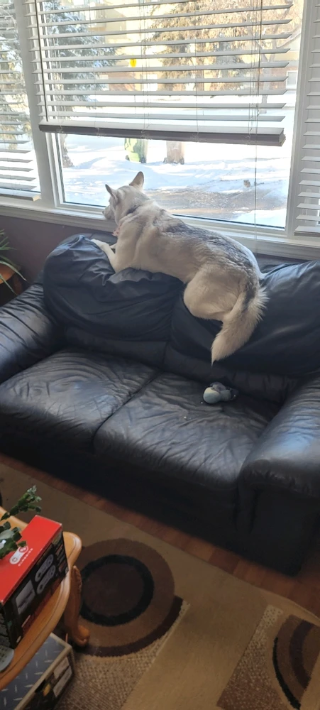 GIF uploaded by Jason