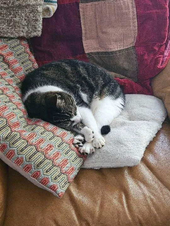 GIF uploaded by Alaya