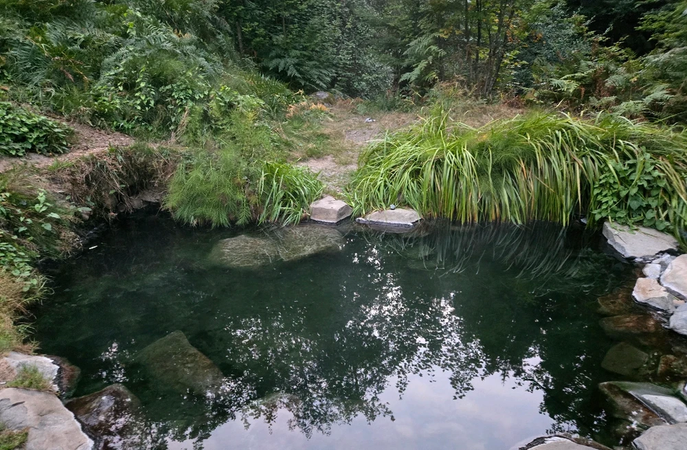 Gambar diunggah dening Blake