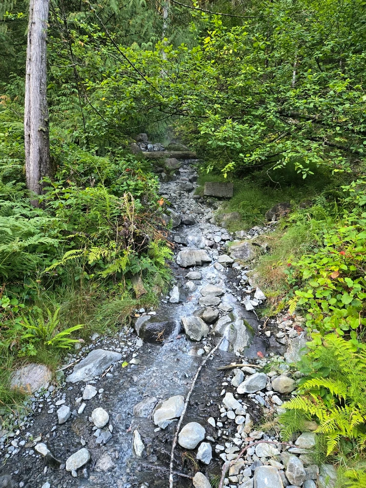 Gambar diunggah dening Blake