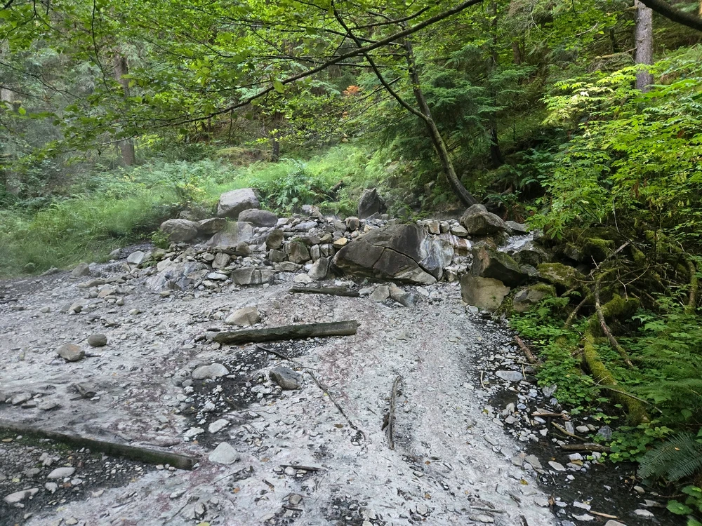 Gambar diunggah dening Blake