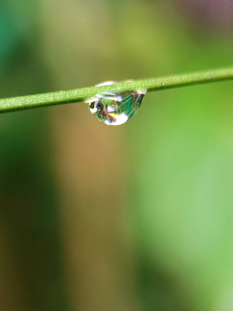 GIF uploaded by Christine