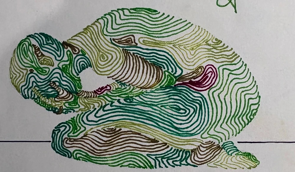 One of the human feelings