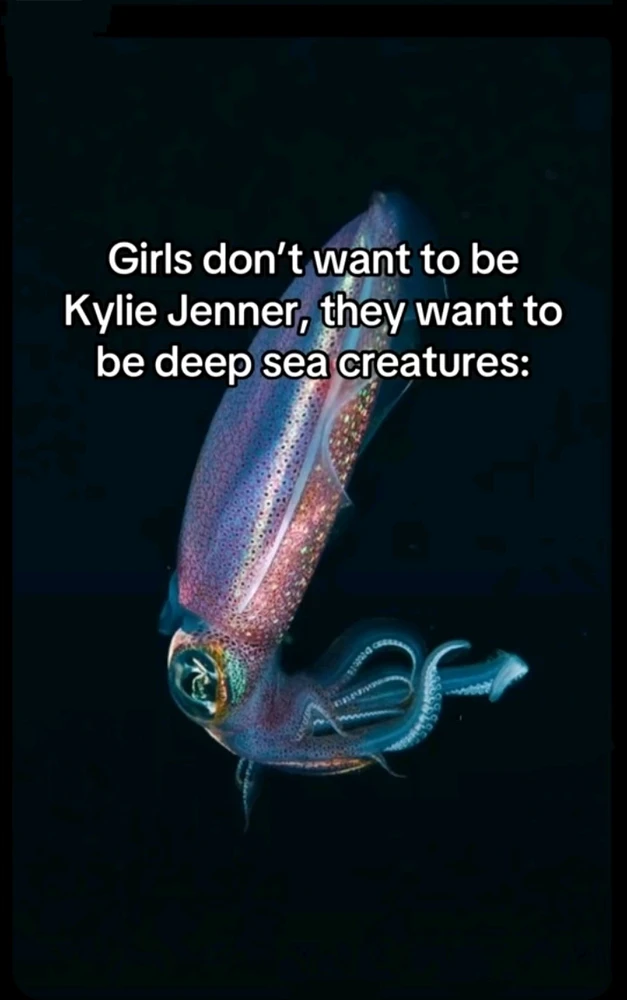 Зображення завантажив Natalia🦇