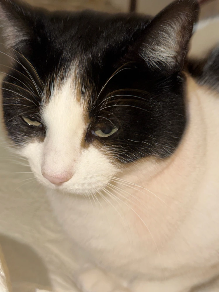 Quando sai che sta ricominciando la settimana 🤣