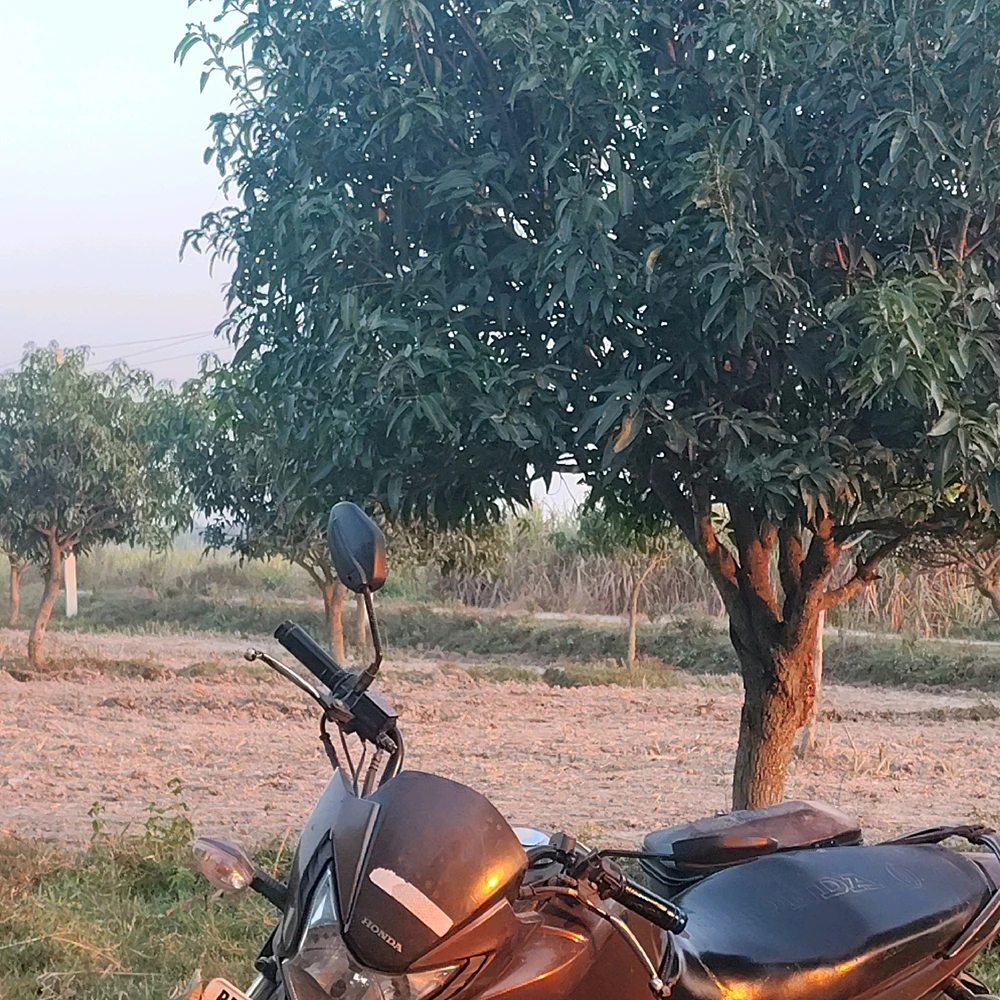 GIF uploaded by Prashant