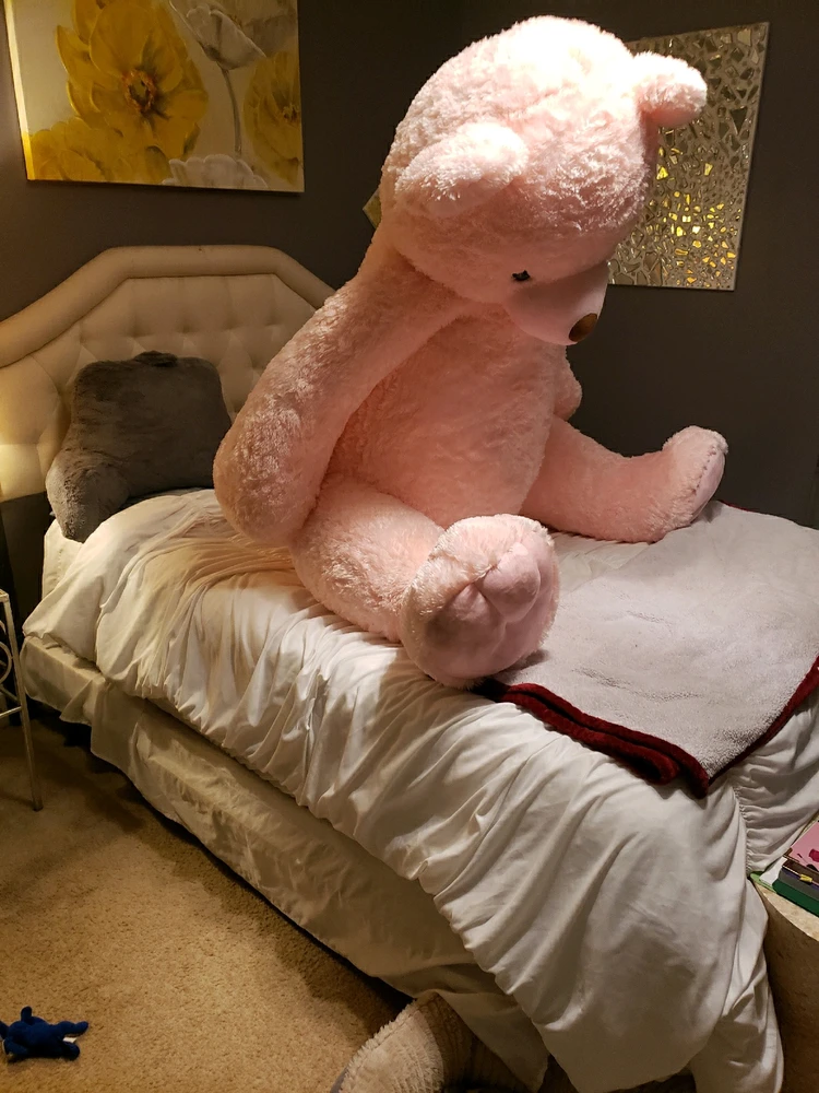 Teddy Shortcake ๐ฐ I got him from Perry fair. A nice family gave him to me for taking their picture. He's HUGE! I'm 5'4 btw