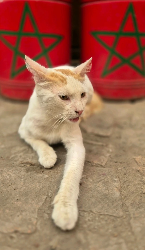 GIF uploaded by Chris