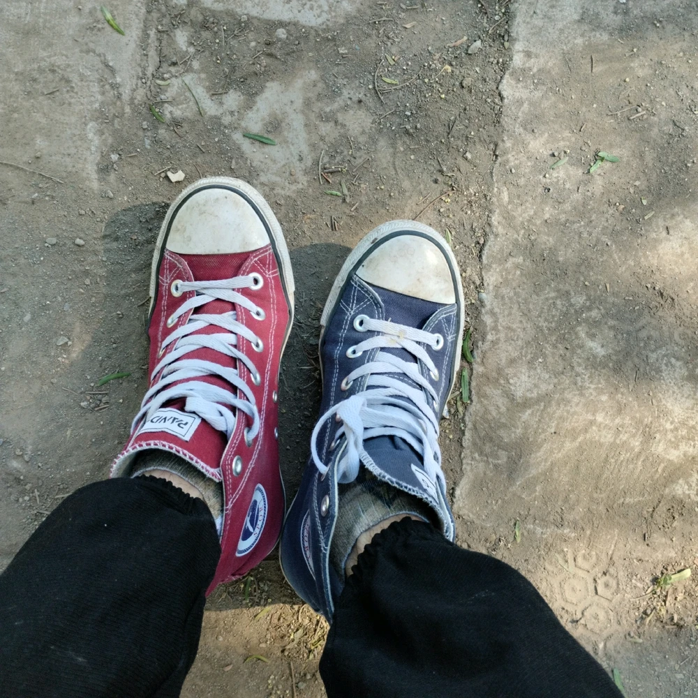 Alguien más comparte este gusto?