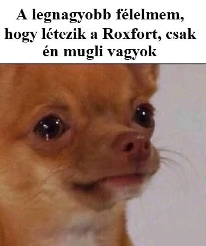 Dávid által feltöltött GIF