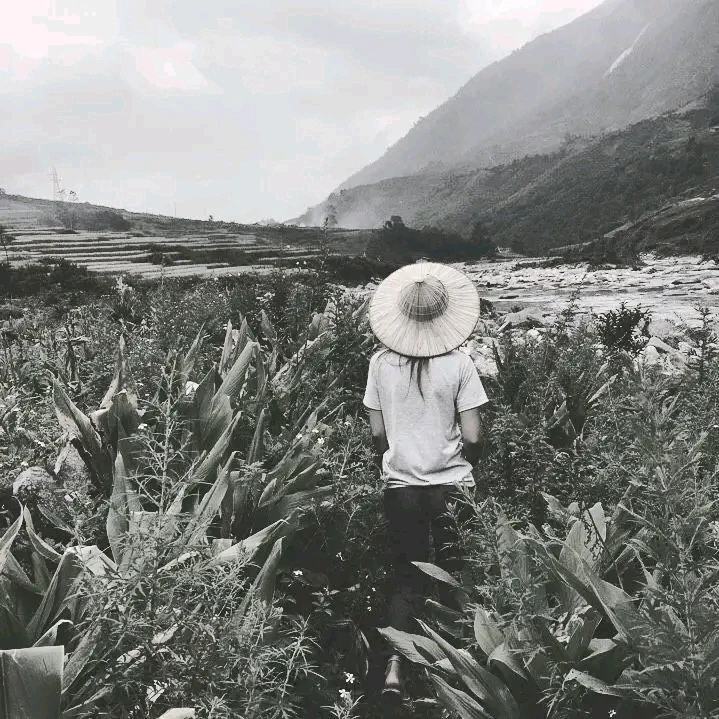 GIF uploaded by 阮何