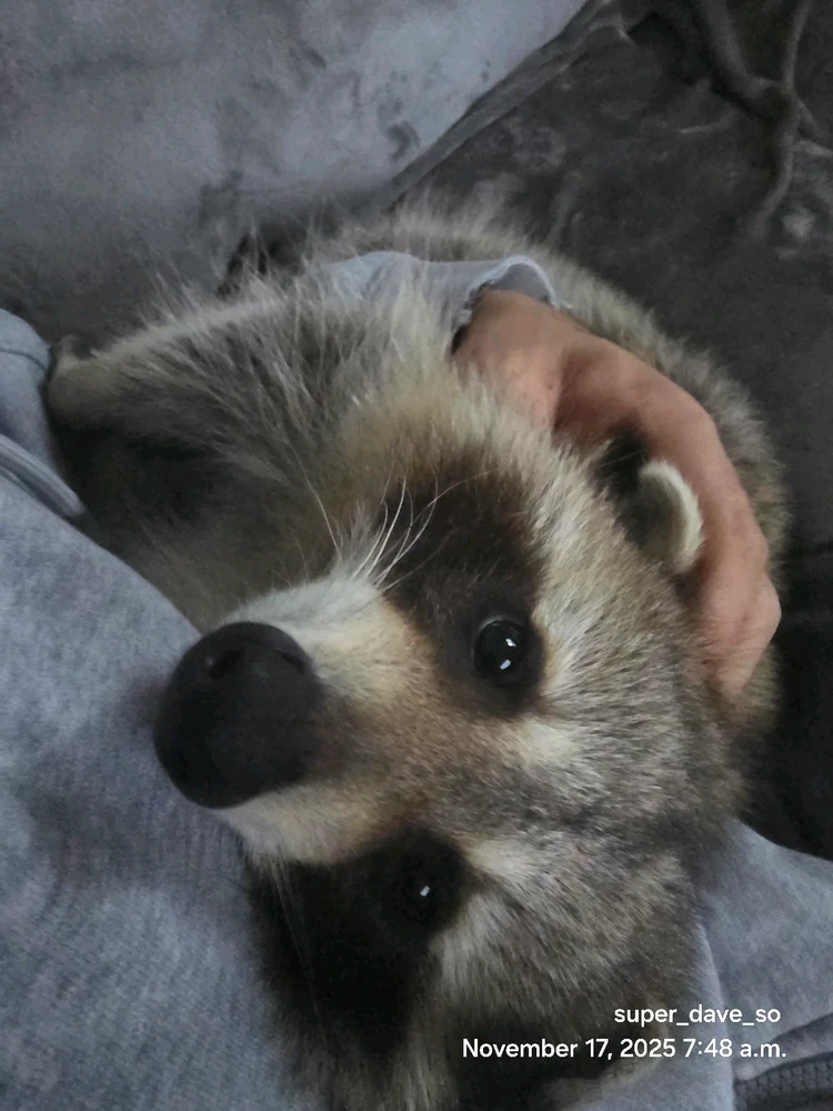 Gambar diunggah dening Dave