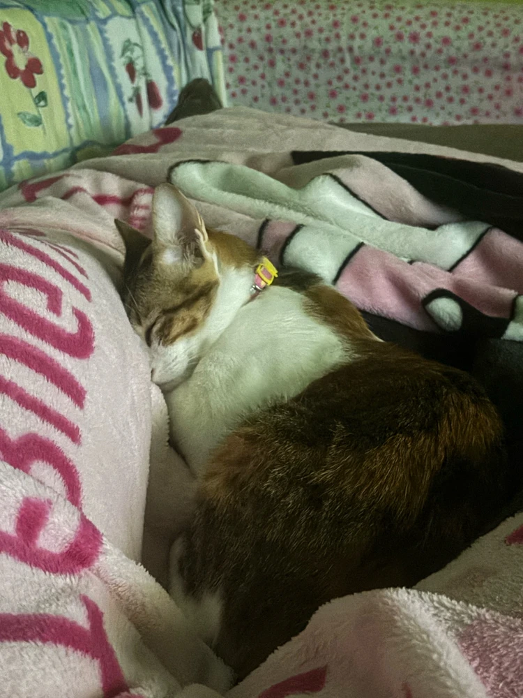 GIF uploaded by Pat♡