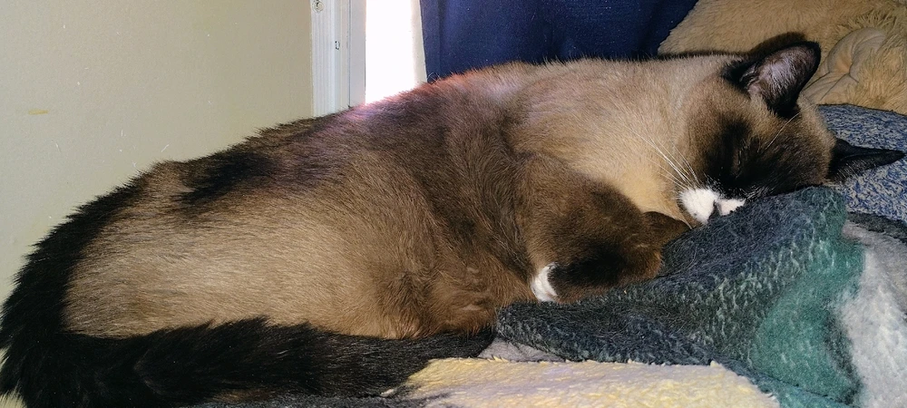 GIF uploaded by Michael