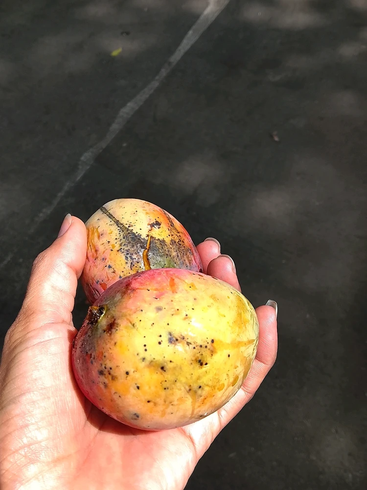 Imagen subida por Laura