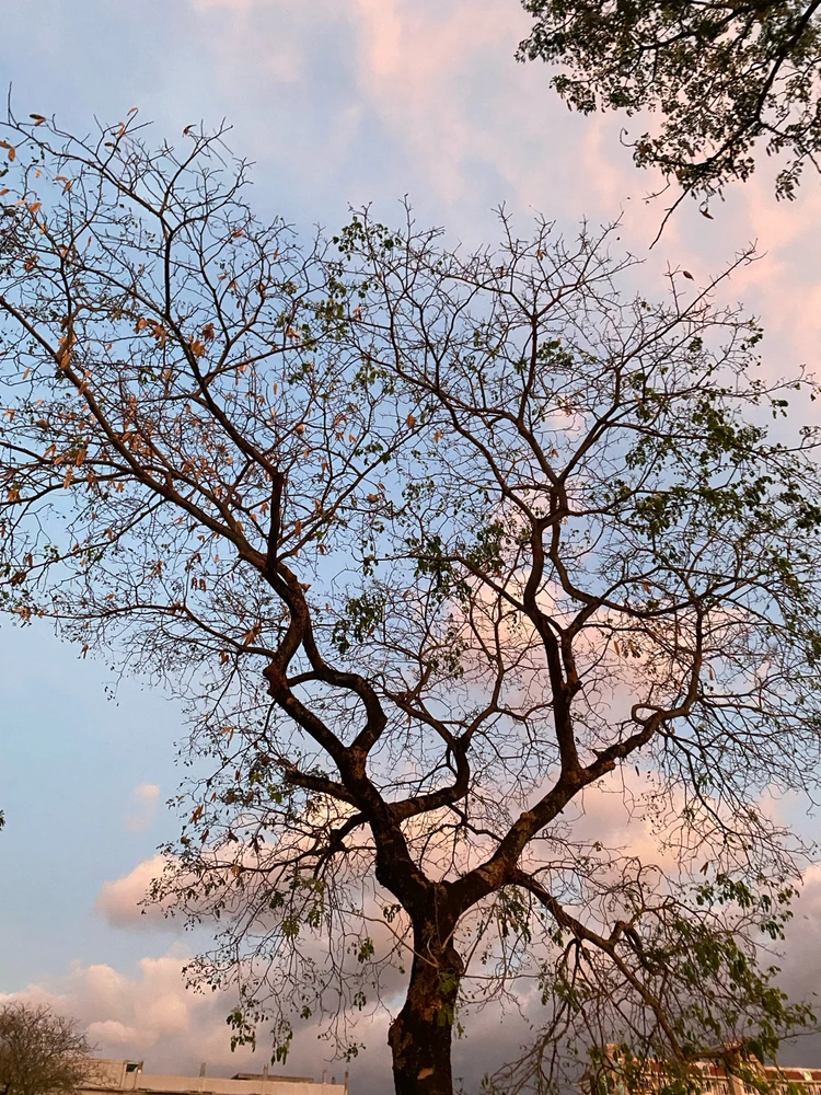 Image uploaded by Jem