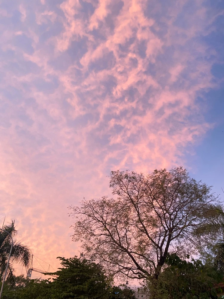 Image uploaded by Jem