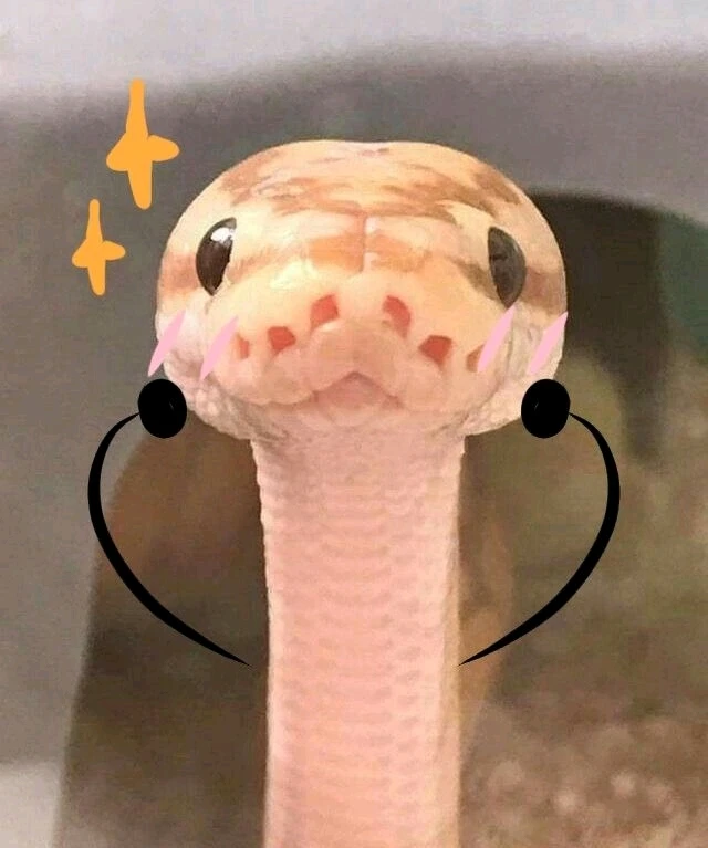 ✨️ Good Morning ✨️