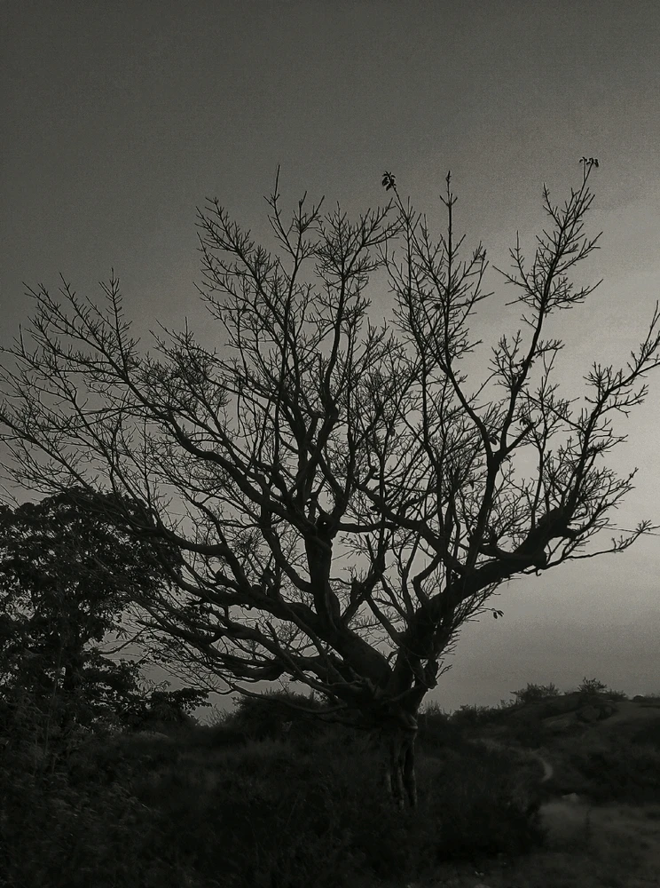 Adi દ્વારા અપલોડ કરેલ GIF