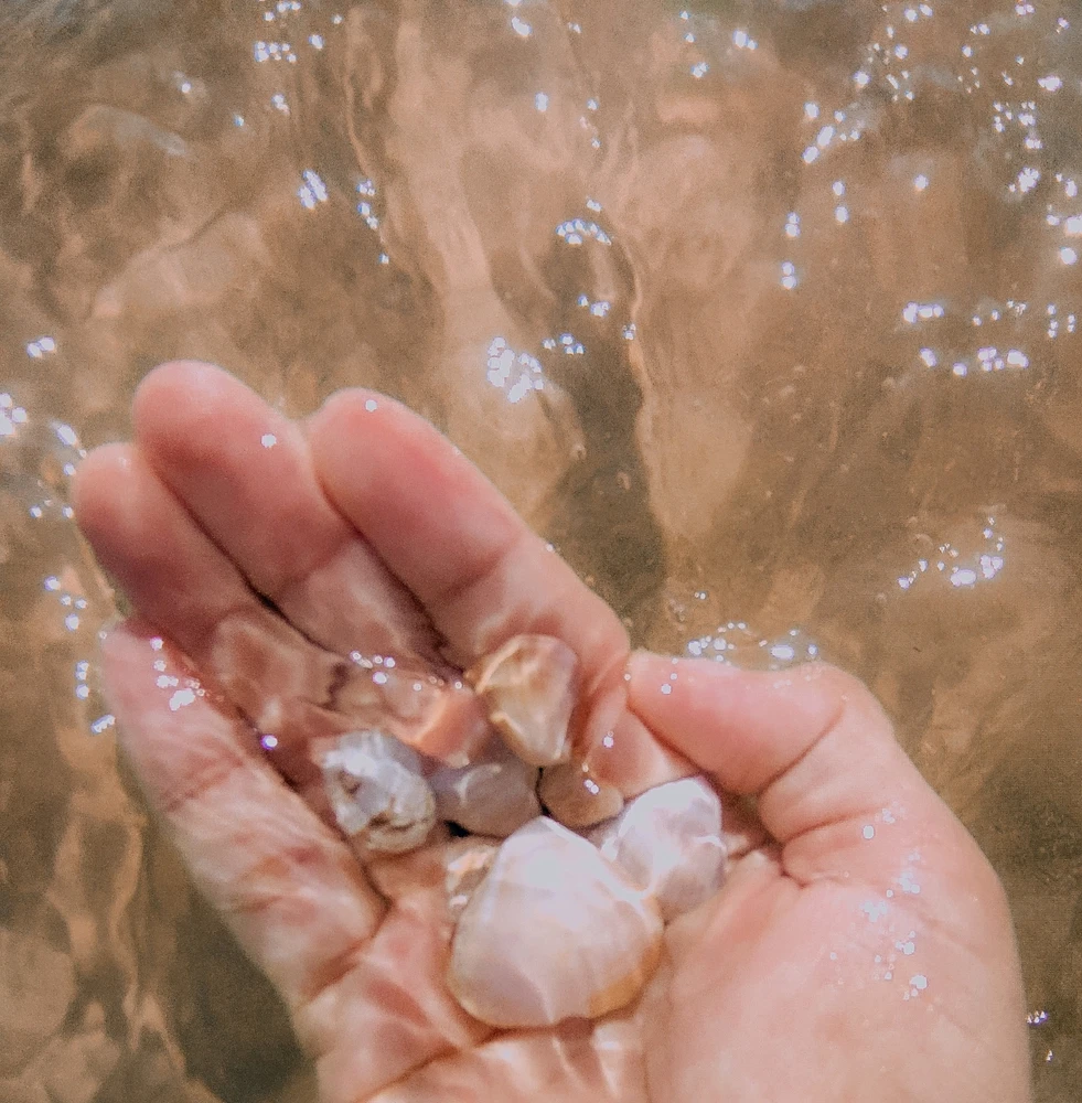 Imagem enviada por Milla