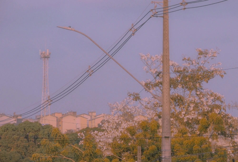 Imagem enviada por Milla