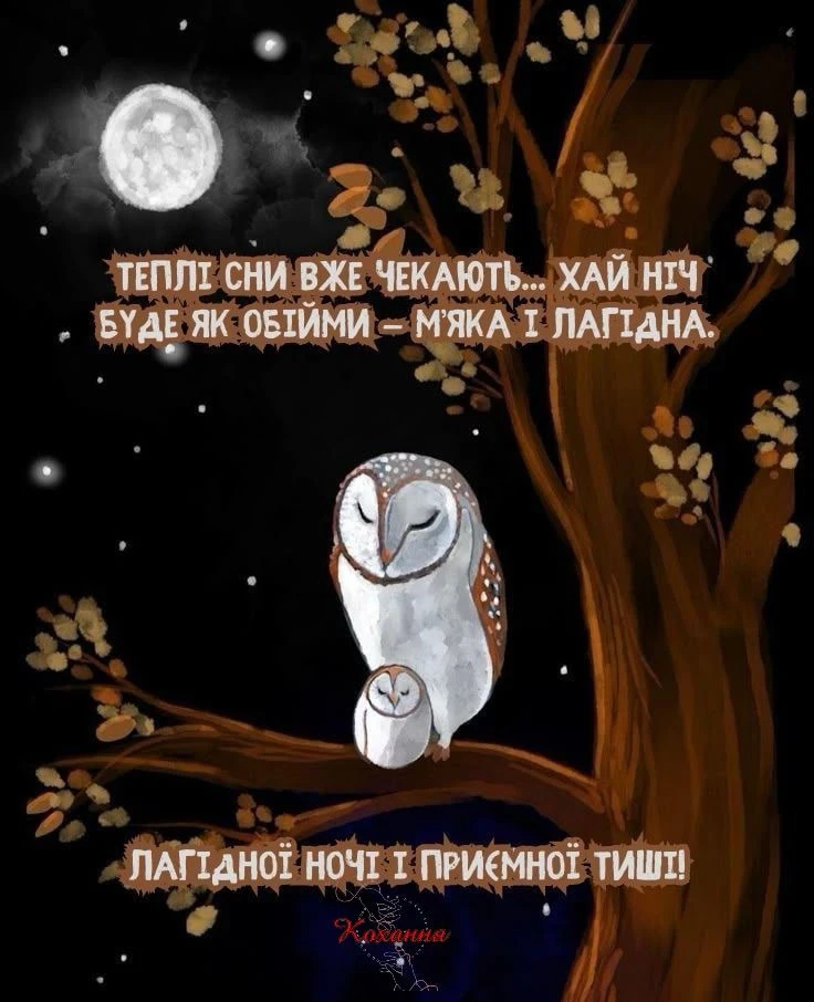 Гіфку завантажив Tanya
