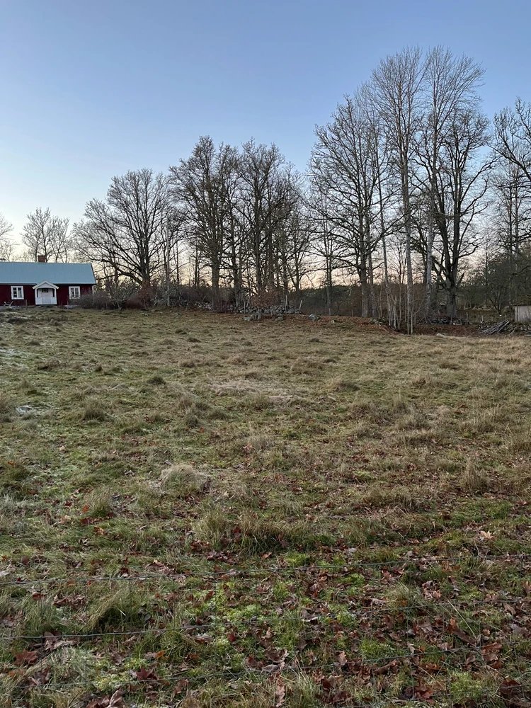Image uploaded by Fredric