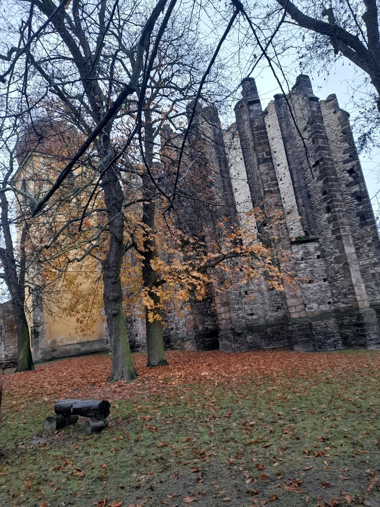 Obrázek nahrál Filip