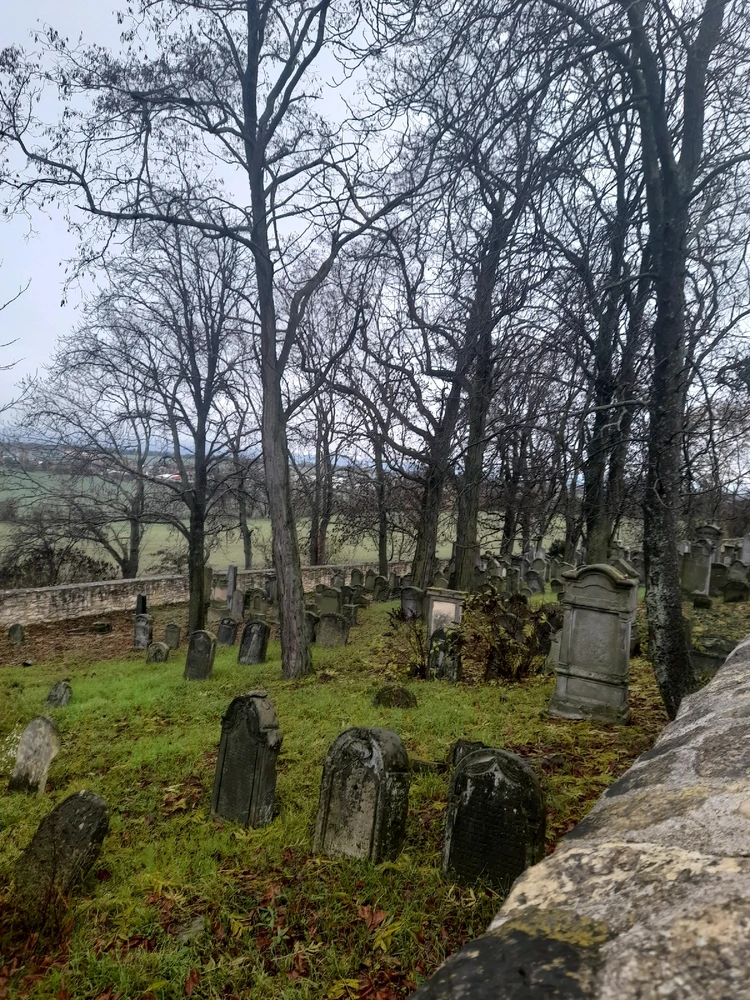 Obrázek nahrál Filip