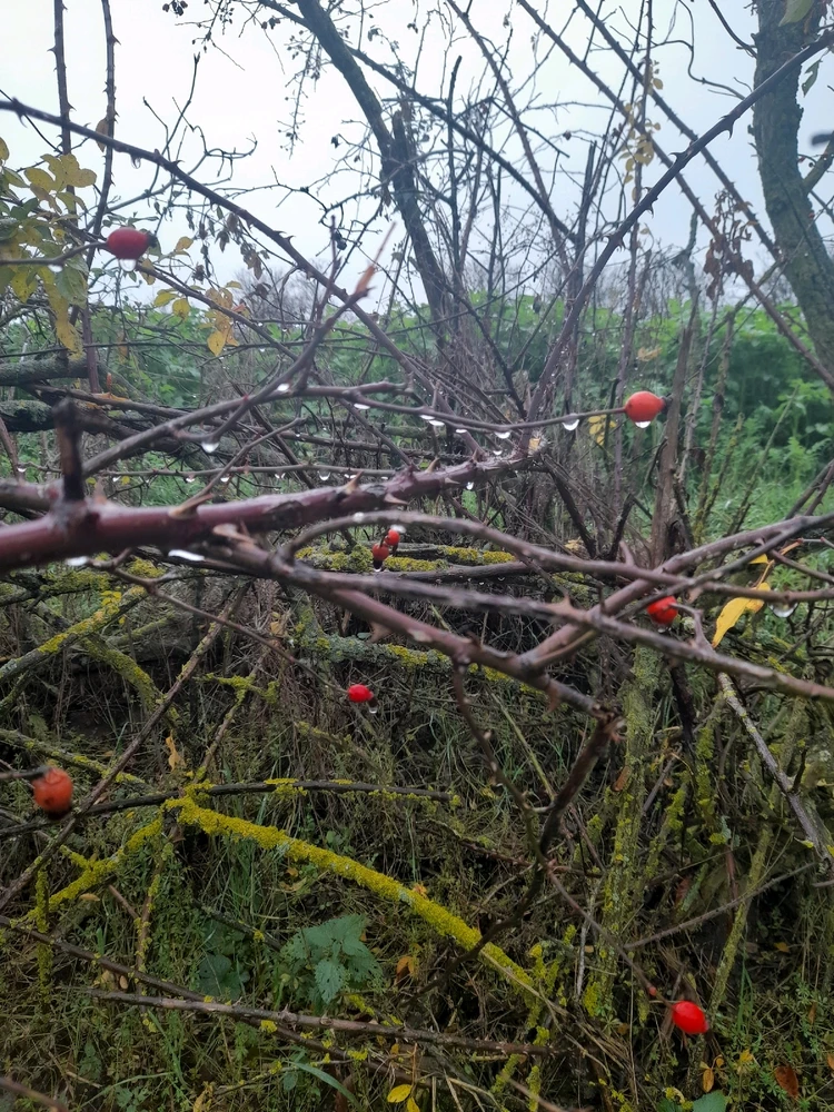 Obrázek nahrál Filip