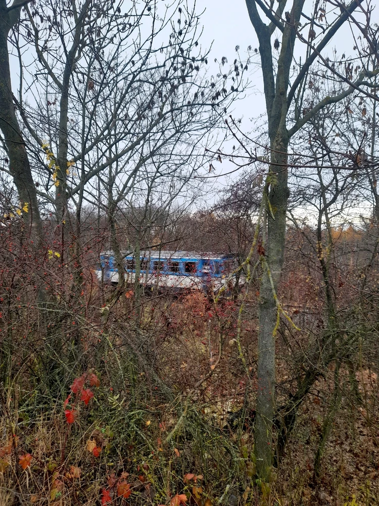 Obrázek nahrál Filip