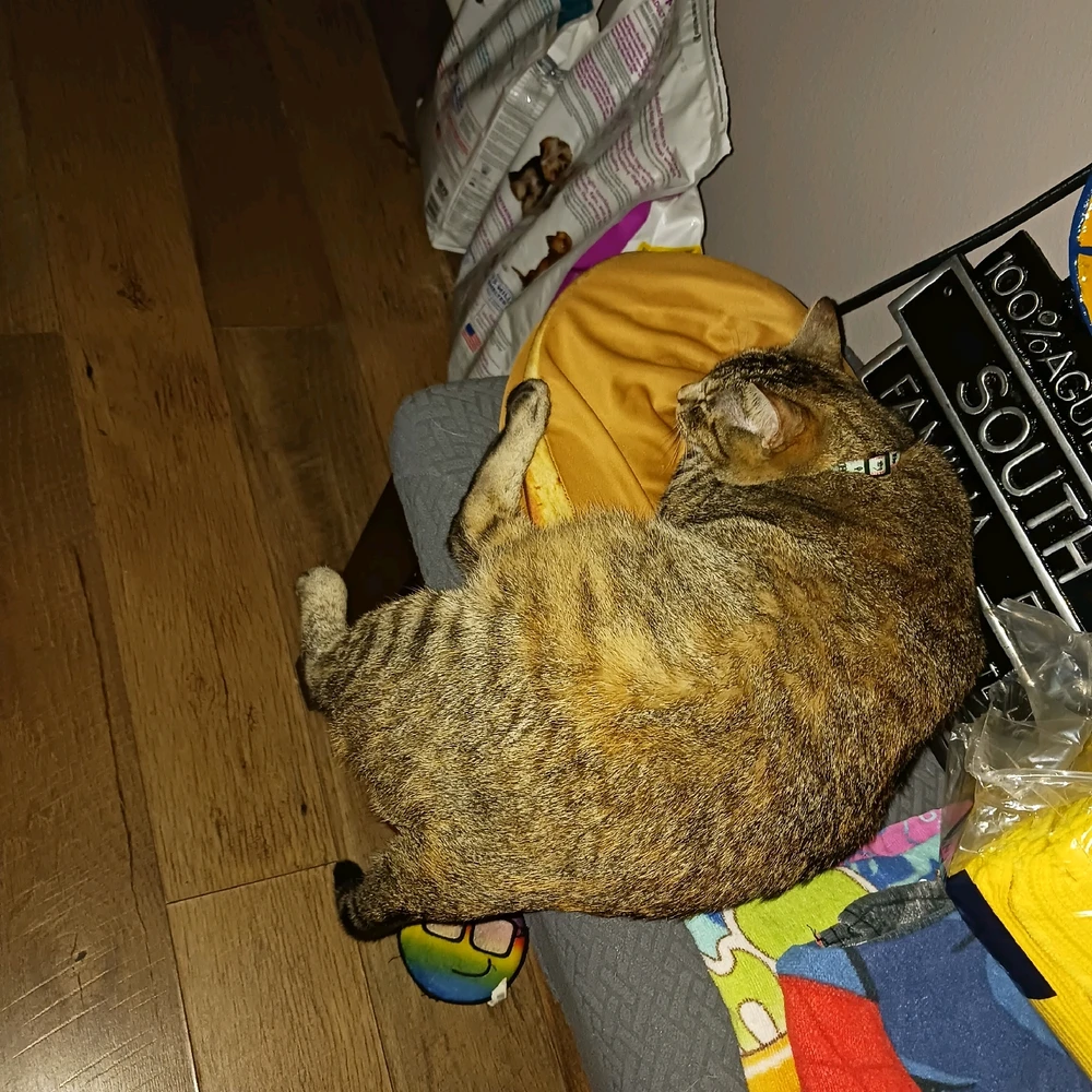 GIF uploaded by Joseph