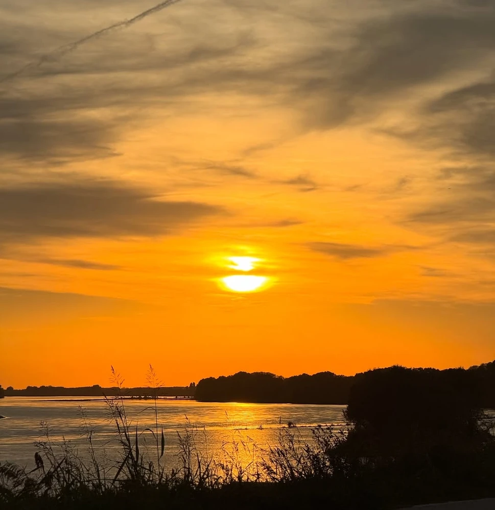 GIF caricata da Fabio