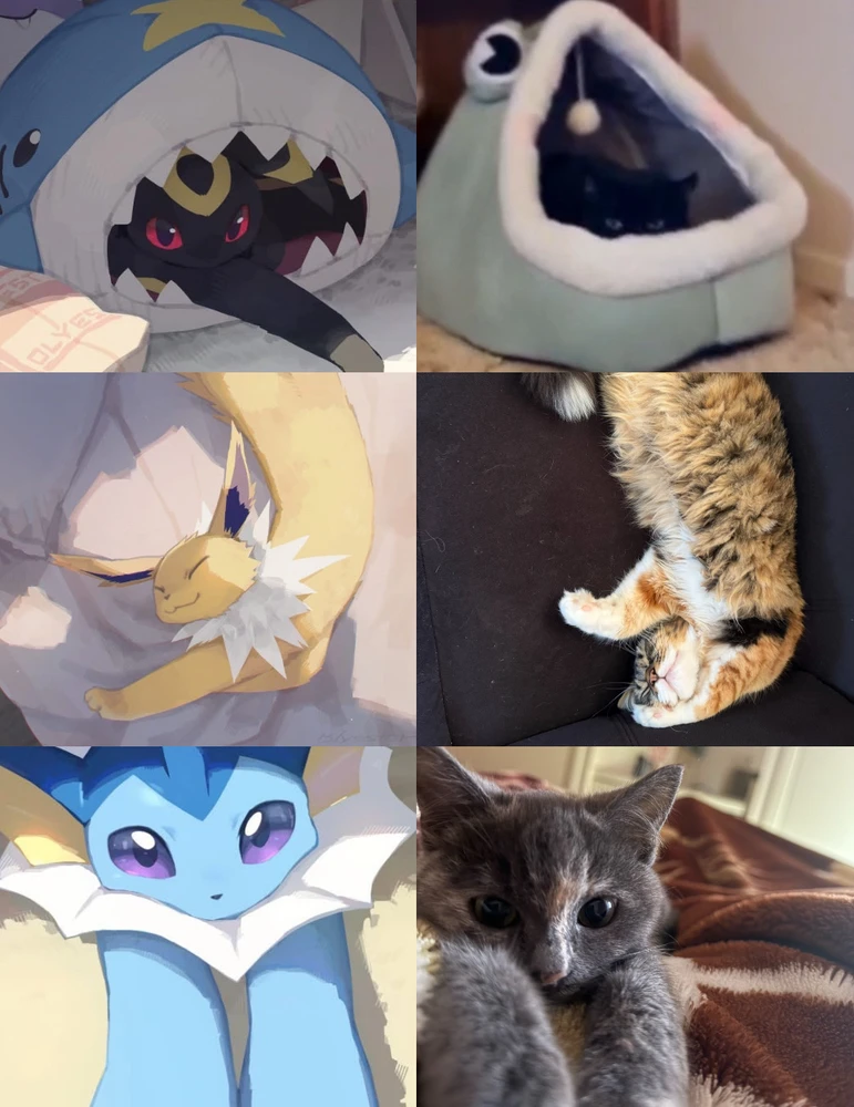 GIF uploaded by Shan