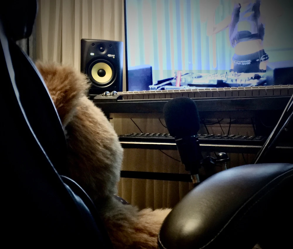 My little home studio